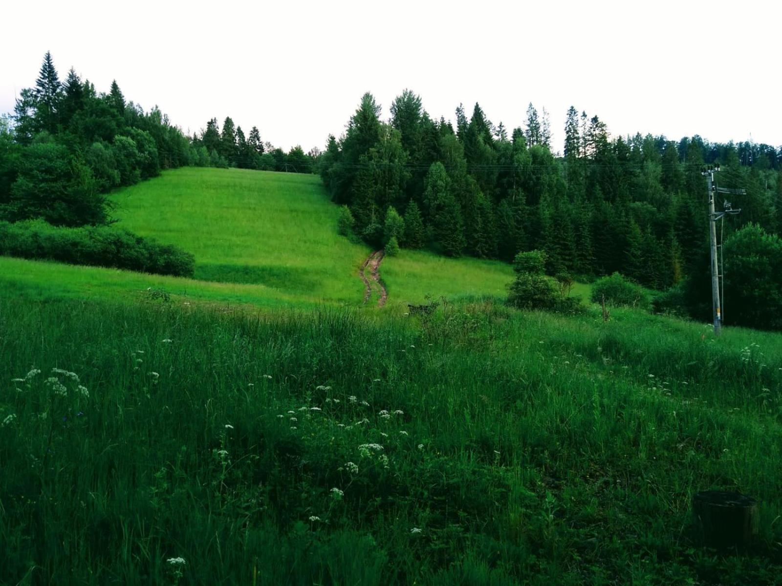 Domek W Gorach Pod Rysianka Zlatna Екстериор снимка